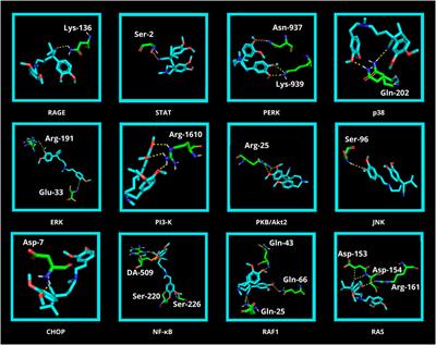 Preliminary evaluation of the antiglycoxidant activity of verapamil using various in vitro and in silico biochemical/biophysical methods